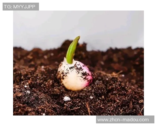 91麻豆种子-麻豆种子的秘密,91成长奇迹见证下的新星探访之路-91麻豆种子大全 91麻豆种子-麻豆种子的秘密,91成长奇迹见证下的新星探访之路-91麻豆种子大全